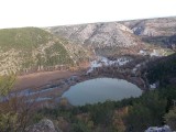 DSCN6031